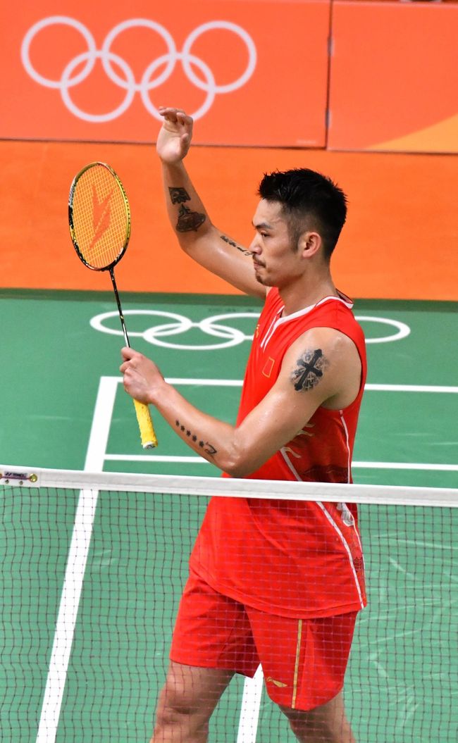 北体甲组 北体甲组